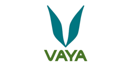vaya